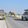 Etosha-Nationalpark ... Achtung: Elefanten können den Weg kreuzen
