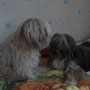 Im Bett kann man so toll toben