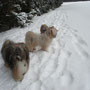 Schnee, Schnee.......