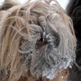 Attila als Yeti