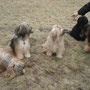 Gruppenbild
