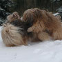 Wilde Spiele