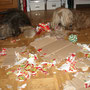 .....beim Schreddern des Kartons......