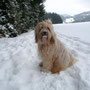 Wilma