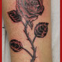 Red Dragon Tattoo - studio tatuaggi a Salorno - Trentino Alto Adige