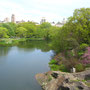 Central Park <3