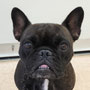 谷本ぷぅ次朗（更新1回目）