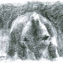 ours au clair de lune, ursus arctos, Roumanie, pastel