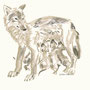 Louve et jeunes, canis lupus, illustration, pastel