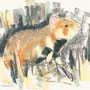 grand hamster, Alsace, cricetus, pastel