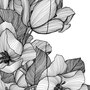 02. Tulipani