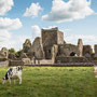 Hore Abbey (Cashel)