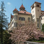 Schloss Waldenburg (Waldenburg)