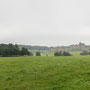 Alnwick Castle (Alnwick)