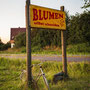 Blumen zum Selbstpflücken (Havixbeck, Deutschland)