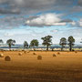 Herbst (Schottland)