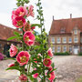 Haus Welbergen (Ochtrup)