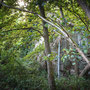 Zeche Carl Funke, Schacht Hundsnocken, Ruine Maschinenhaus (Essen, 29.08.2020)