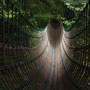 Burmesische Hängebrücke (The Lost Gardens of Heligan, St Austell, England)