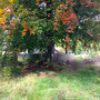 Herbststimmung am Forsthaus