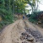 Un sentier  forestier avant Guadeloupe