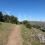 Pendant un temps avec les éoliennes