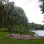 Le lac dans le parc