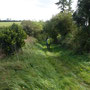Chemin herbeux