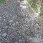 Sur un km