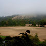 Toujours de la brume