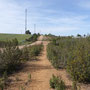 Toujours des chemins pierreux