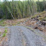 frisch geschotterter Forstweg nach dem Holzeinschlag