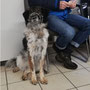 Ronja (ehem. Cassady)