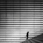 Jutta Hintze_Lines