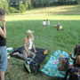 Picknick auf der Wiese