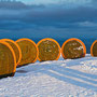 Die sieben Skulpturen am Nordkapp.