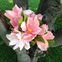 Magnolias-flor de papel
