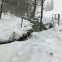 Frauchen hat uns in den Schnee gefahren - welch tolle Idee!