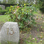 Friedhof Neukölln, Koppelweg 10