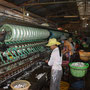 Silk production in Dalat