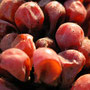 Cépage Chenin, raisins botrytisés