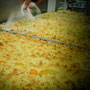 Bäckerei Weißbach › Aprikosenkuchen