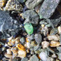 Smaragd (Beryll) / Leckbachrinne