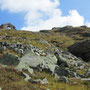 Mittlenberghütte / Binntal