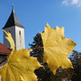 Unser schönes Höhenberg