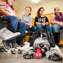 Schulhund Vega in den Stuttgarter Nachrichten