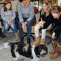 Schulhund Vega mit Frau Kumpf in der Klasse