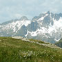 Blick Richtung Trotzigplanggstock