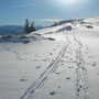 Gegenaufstieg zum Piz Oesch / Gestelegrat