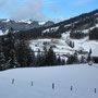 wir haben Glück und sehen sogar etwas blauen Himmel